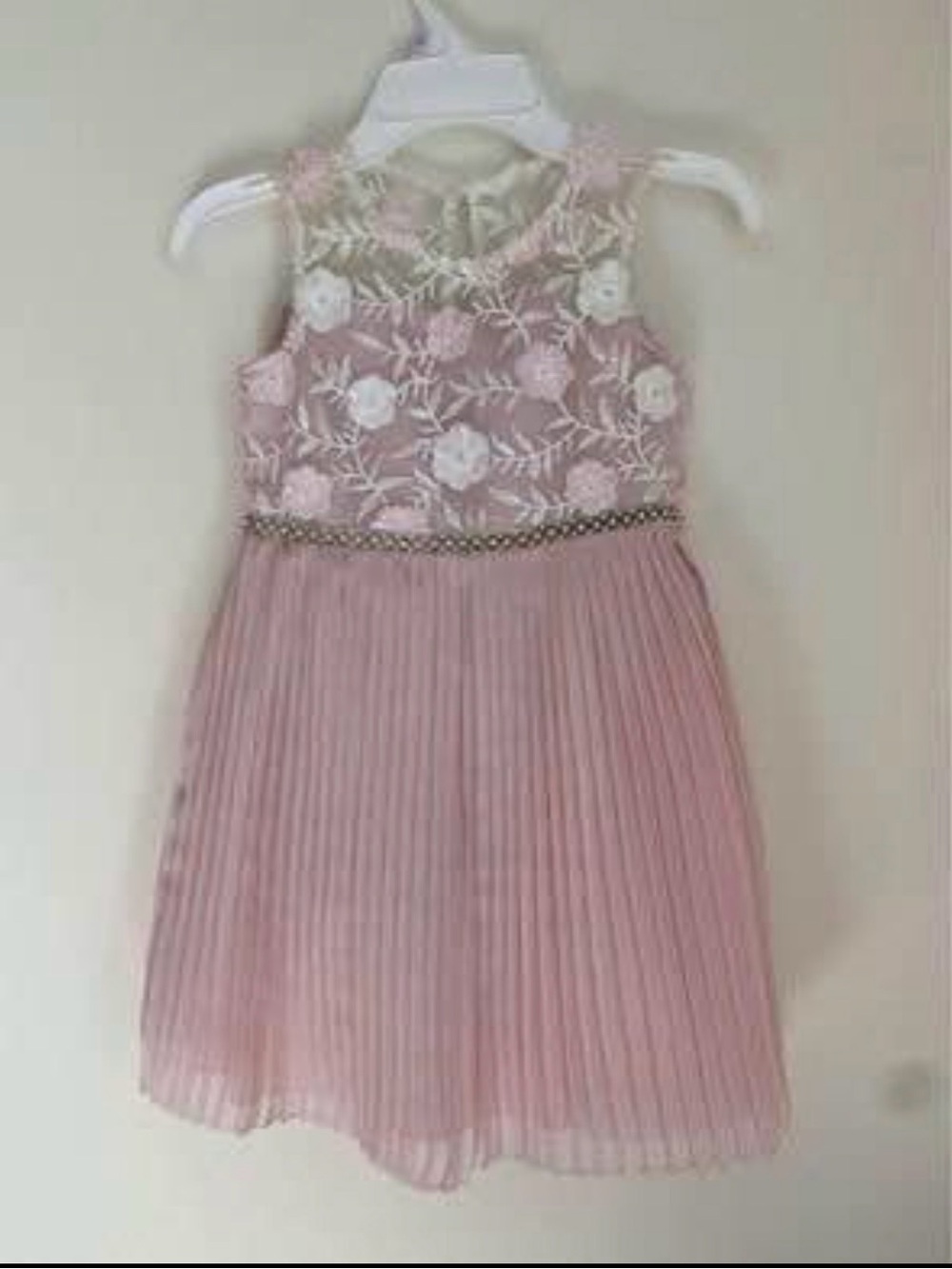 Rare Editions Pink Floral Lace & Pleated Party Dress